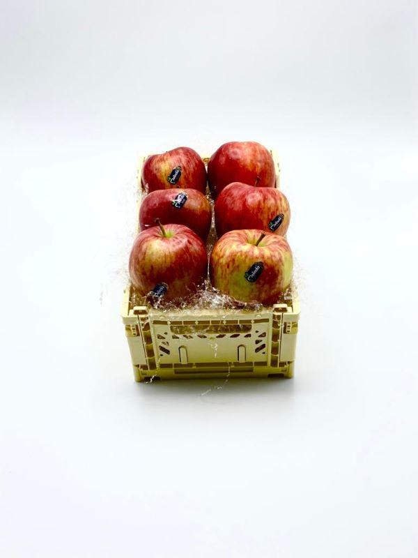Lightbox