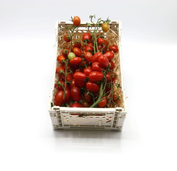 Lightbox