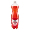 Ginger san benedetto ml.15000