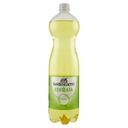 Cedro san benedetto ml.15001