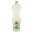 Pompelmo san benedetto ml.15000