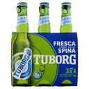 Birra tuborg beer ml.330 x31