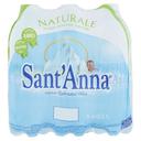 Acqua naturale sant'anna ml.500x61