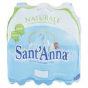 Acqua naturale sant'anna ml.500x60