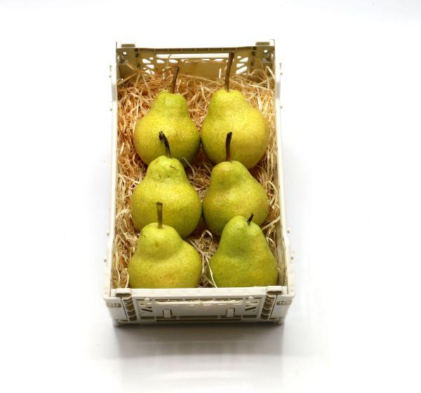 Lightbox